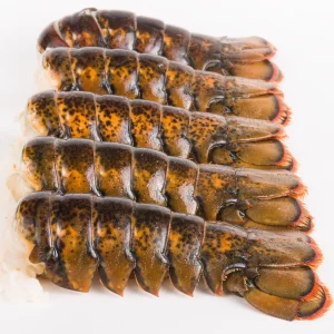 Today Gourmet Lobster Tails - 4oz.-5oz. - (6 Tails)