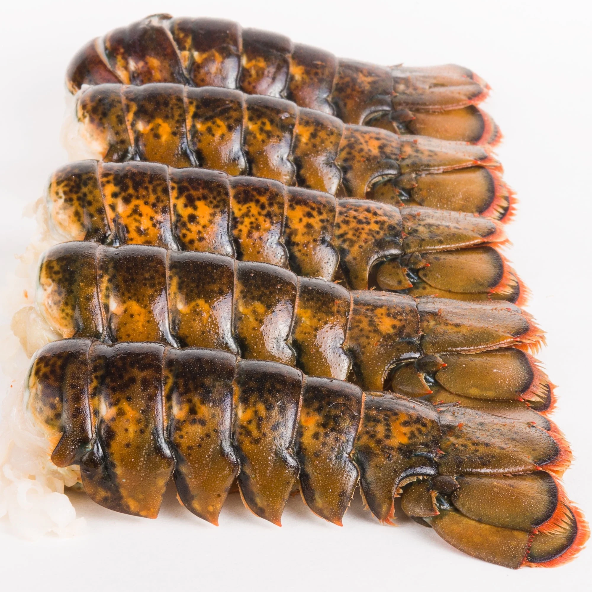 Today Gourmet Lobster Tails - 4oz.-5oz. - (6 Tails)